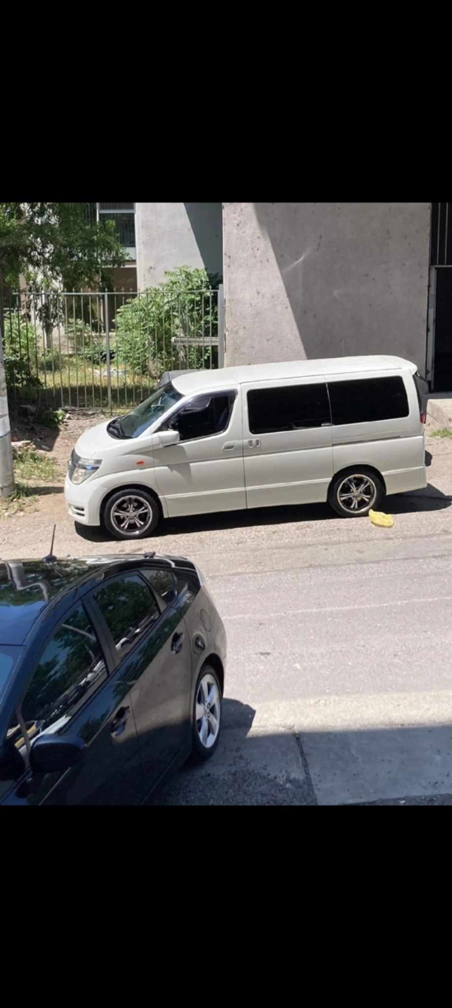 ნიკა ტყეშელაშვილი